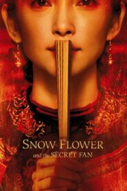 Snow Flower and the Secret Fan 2011 on netflix