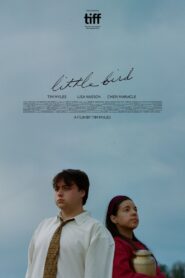 Little Bird 2021 on netflix