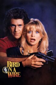 Bird on a Wire 1990 on netflix