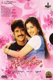 Ninne Pelladatha 1996 on netflix