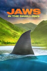 Jaws in the Shallows 2023 on netflix