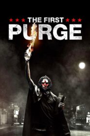 The First Purge 2018 on netflix