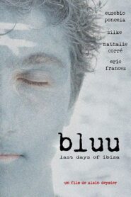 Bluu, Last Days Of Ibiza 2013 on netflix