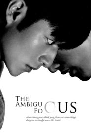 The Ambiguous Focus 2017 on netflix