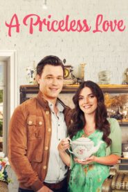 A Priceless Love 2022 on netflix