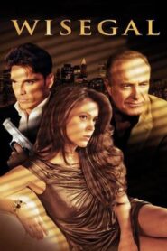 Wisegal 2008 on netflix