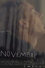 November 2020 on netflix