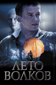 Лето волков 2011 on netflix