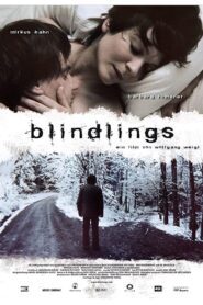 Blind Spot 2009 on netflix