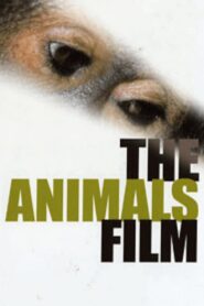 The Animals Film 1981 on netflix