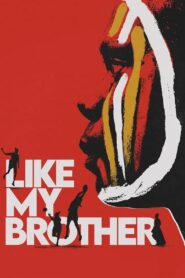 Like My Brother 2024 on netflix