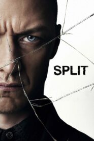 Split 2017 on netflix