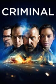 Criminal 2016 on netflix