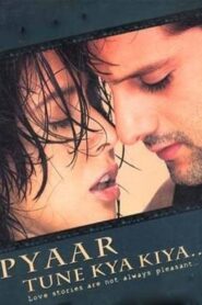 Pyaar Tune Kya Kiya 2001 on netflix