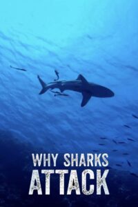Why Sharks Attack 2023 on netflix