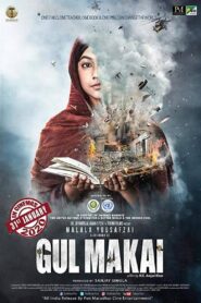 Gul Makai 2020 on netflix