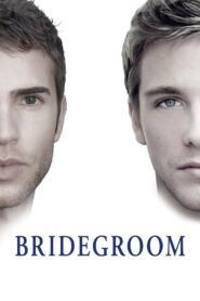Bridegroom 2013 on netflix