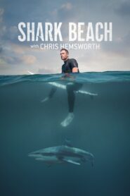 Shark Beach with Chris Hemsworth 2021 on netflix