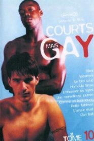 Courts mais Gay : Tome 10 2005 on netflix