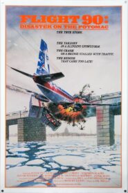 Flight 90: Disaster on the Potomac 1984 on netflix