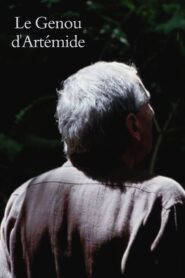 Artemide’s Knee 2008 on netflix