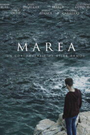 MAREA 2017 on netflix