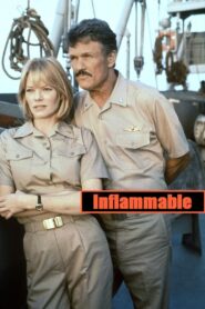 Inflammable 1995 on netflix
