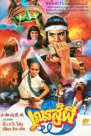 Shaolin vs Black Magic 1983 on netflix