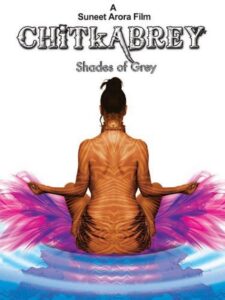 Chitkabrey 2011 on netflix