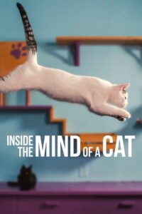 Inside the Mind of a Cat 2022 on netflix
