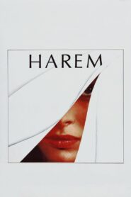 Harem 1985 on netflix