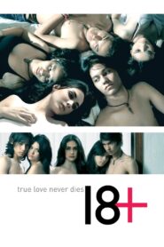 18+ : True Love Never Dies 2010 on netflix