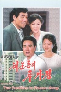 Two Families In Haeun-Dong 1996 on netflix