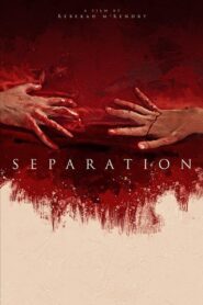 Separation 2020 on netflix
