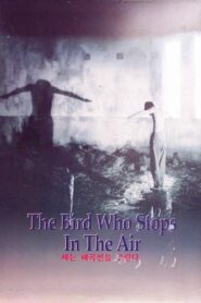 The Bird Who Stops in the Air 2002 on netflix