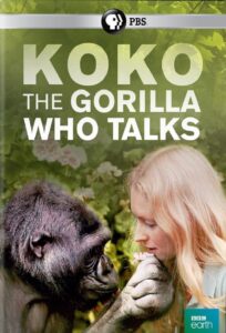 Koko: The Gorilla Who Talks to People 2016 on netflix