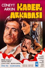 Kader Arkadaşı 1981 on netflix