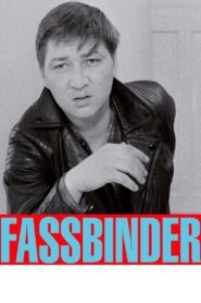 Fassbinder 2015 on netflix