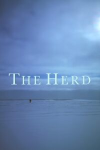 The Herd 1998 on netflix