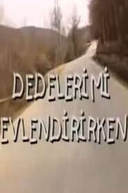 Dedelerimi Evlendirirken 2000 on netflix