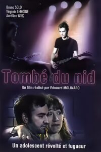 Tombé du nid 1999 on netflix