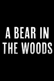A Bear in the Woods 2024 on netflix