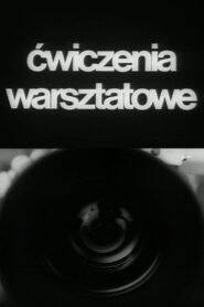 Workshop Exercises 1986 on netflix