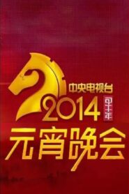 2014年中央电视台元宵晚会 2014 on netflix