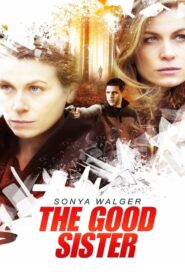 The Good Sister 2014 on netflix