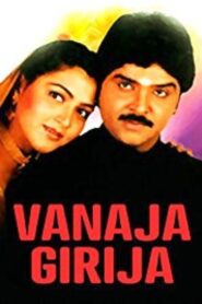 Vanaja Girija 1994 on netflix