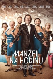 Manžel na hodinu 2016 on netflix