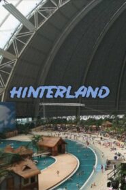 Hinterland 2009 on netflix