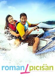 Roman Picisan 2010 on netflix
