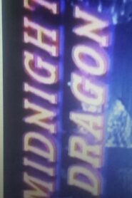 Midnight Dragon 1995 on netflix